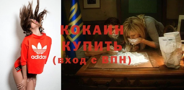 соль ск Михайлов