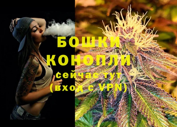 соль ск Михайлов