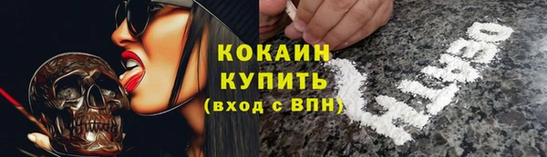 индика Вязники