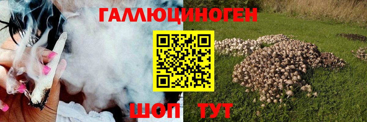 купить закладку  Балаково  Галлюциногенные грибы MAGIC MUSHROOMS 