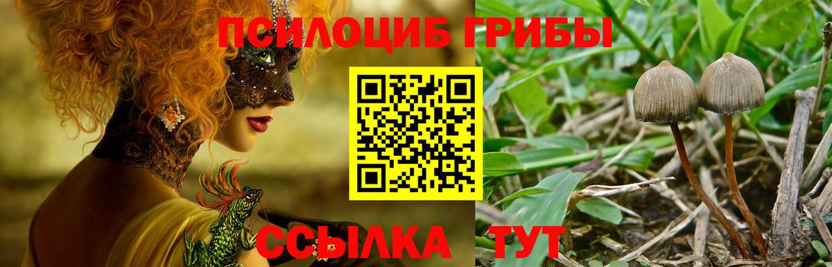 Галлюциногенные грибы MAGIC MUSHROOMS  Вход с VPN  Галлюциногенные грибы GOLDEN TEACHER  Балаково 