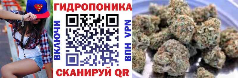 закладки  Балаково  Конопля план 
