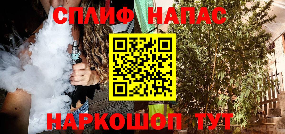 Канабис OG Kush Балаково