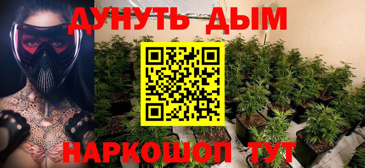 Бошки марихуана марихуана Балаково